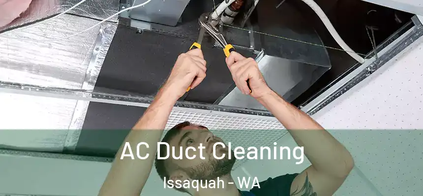  AC Duct Cleaning Issaquah - WA