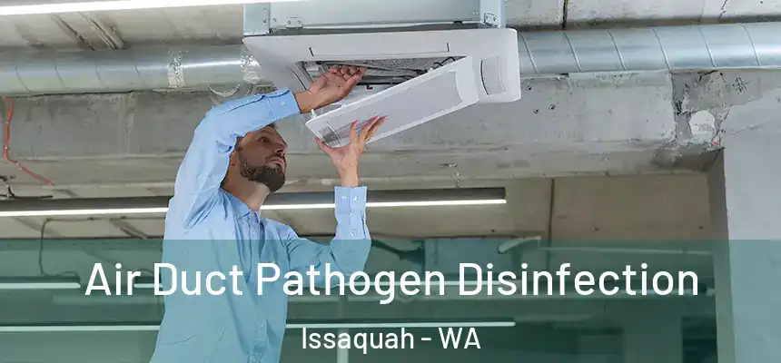  Air Duct Pathogen Disinfection Issaquah - WA