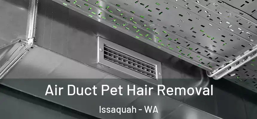 Air Duct Pet Hair Removal Issaquah - WA