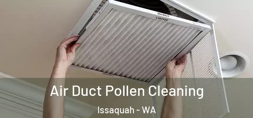  Air Duct Pollen Cleaning Issaquah - WA