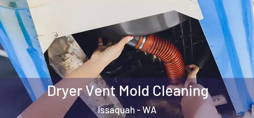 Dryer Vent Mold Cleaning Issaquah - WA