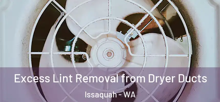  Excess Lint Removal from Dryer Ducts Issaquah - WA