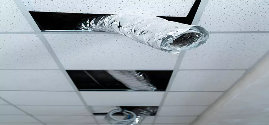 Affordable HVAC Sanitizing After Pest Removal in Issaquah