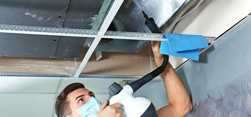 Our Air Duct Rodent Removal Services in Issaquah, WA