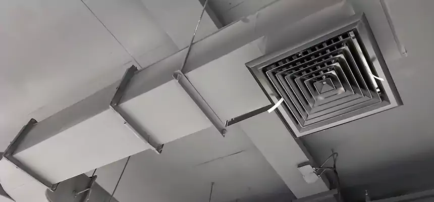 Restorative Allergy Relief Vent Cleaning – Coil, Blower & Housing Detail in Issaquah