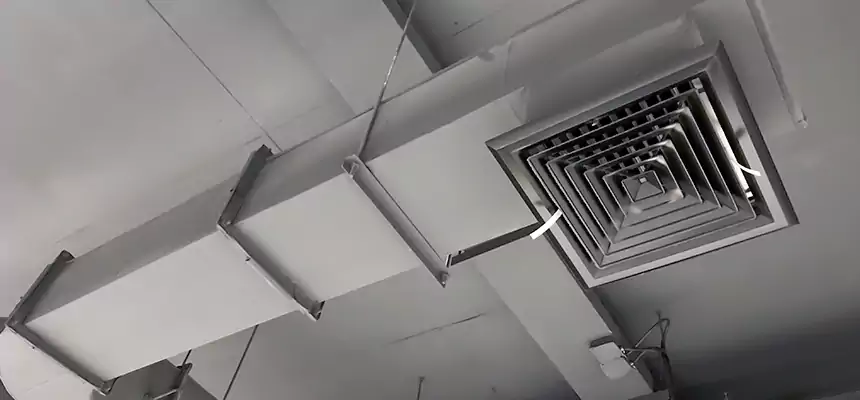 Our Pest Removal From Ducts Services in Issaquah, WA