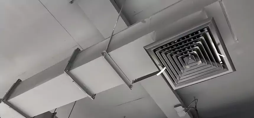 Our Rodent Droppings In Vents Services in Issaquah, WA