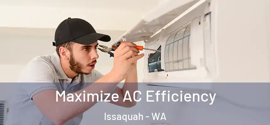  Maximize AC Efficiency Issaquah - WA