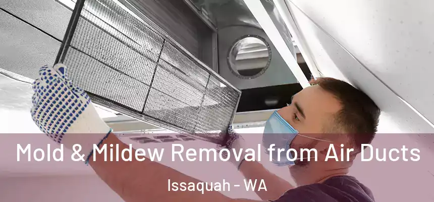  Mold & Mildew Removal from Air Ducts Issaquah - WA