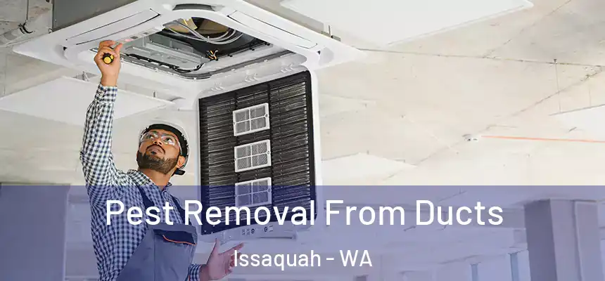 Pest Removal From Ducts Issaquah - WA