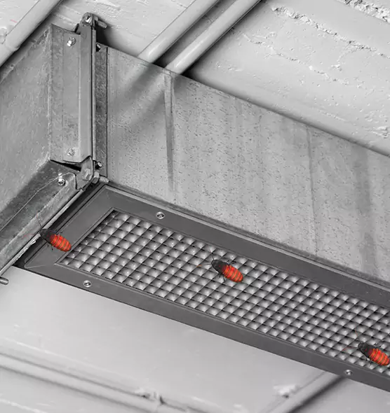 About Air Duct Cockroach Removal in Issaquah, WA