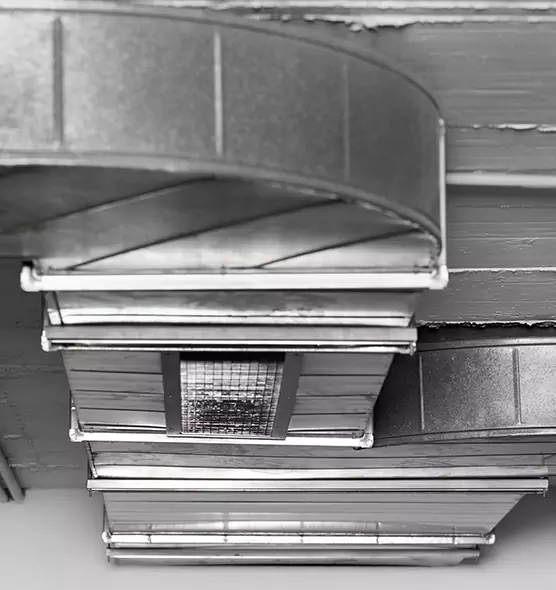 Professional Air Duct Pest Removal in Issaquah, WA