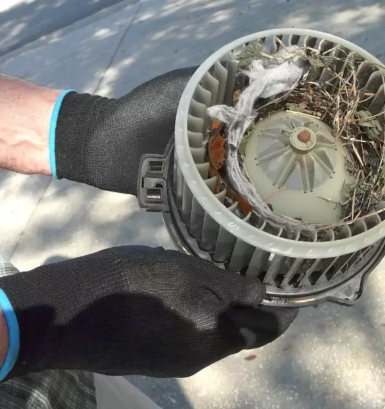 About Air Duct Rat Removal in Issaquah, WA