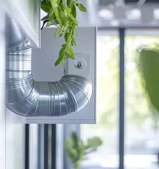 Professional Eco-Safe Dryer Vent Cleaning in Issaquah, WA