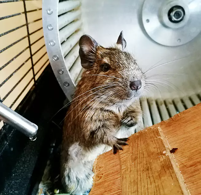 Why Homeowners & Businesses Trust Us Issaquah, WA?