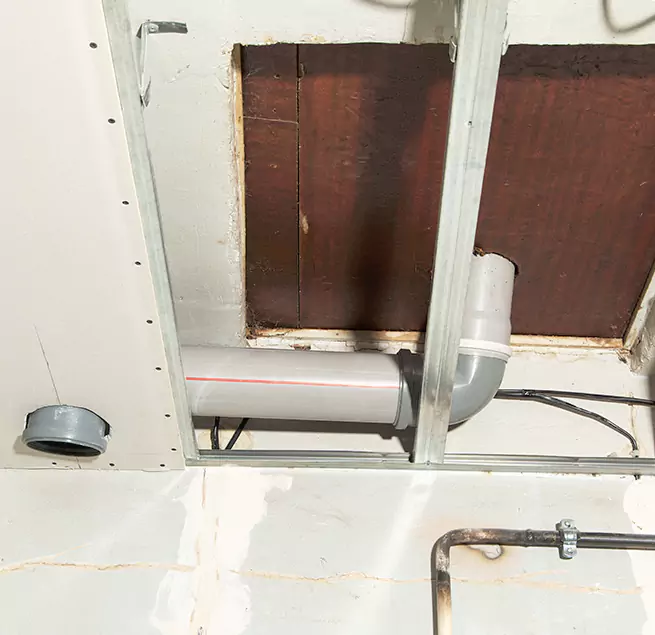 Why Homeowners & Businesses Trust Us in Issaquah, WA?