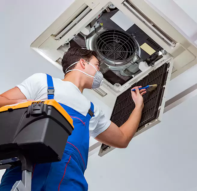 Why Homeowners & Businesses Trust Us in Issaquah, WA