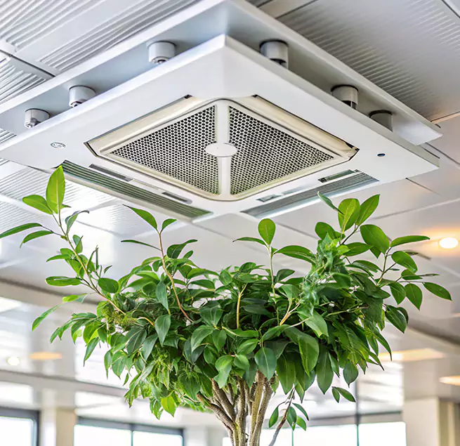 Why Homeowners & Businesses Trust Us in Issaquah, WA