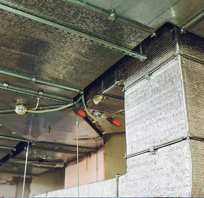 Why Homeowners & Businesses Trust Us Issaquah, WA?