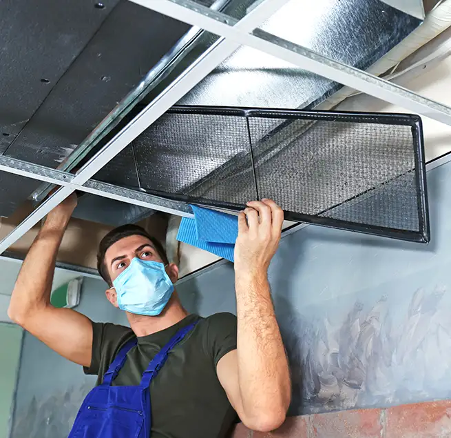 Why Homeowners & Businesses Trust Us in Issaquah, WA?