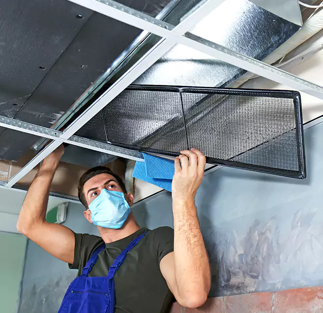  Why Homeowners Businesses Trust Us  in Issaquah, WA?