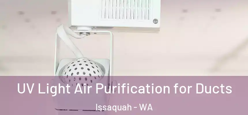  UV Light Air Purification for Ducts Issaquah - WA
